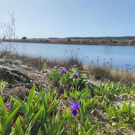 Semesterbostad Les Pieds Dans L'eau Aux Mers Du Sud - Les Ayguades Gruissan