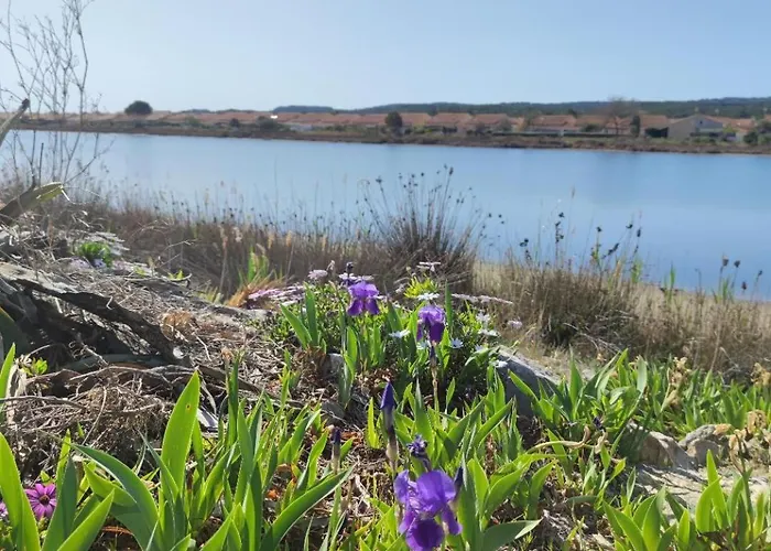Holiday home Les Pieds Dans L'eau Aux Mers Du Sud - Les Ayguades Gruissan